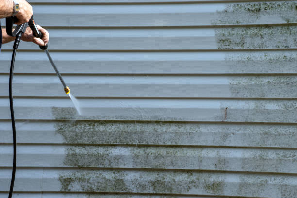 Best Carpet Removal and Disposal  in Elmsford, NY